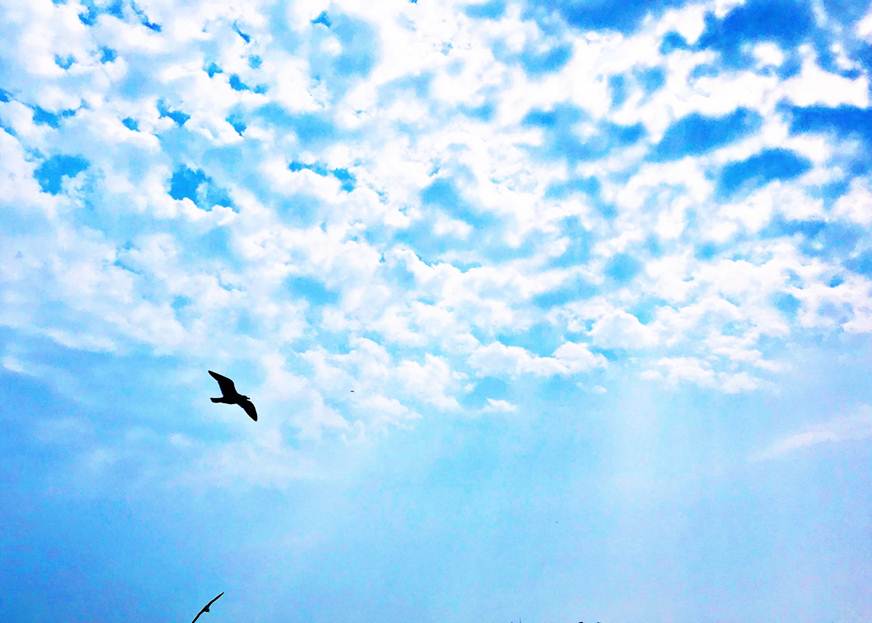 说明: D:\2018年新闻\11月14日 酒管学院科技节系列活动之手机摄影大赛顺利举行\获奖作品—秋去秋来.jpg